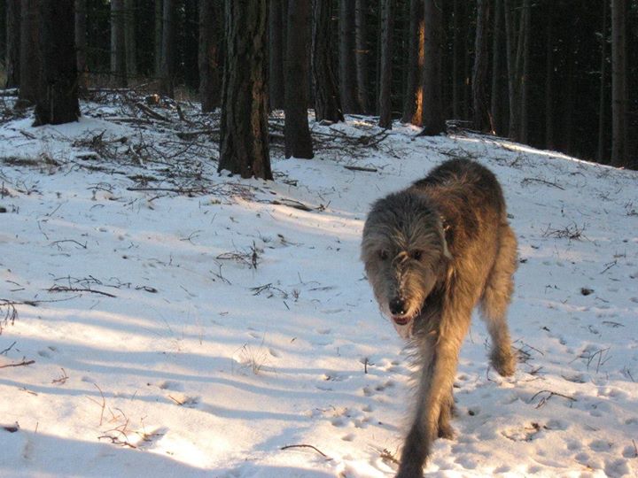 vycházka 8.12.2012 001
