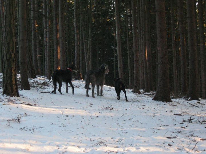 vycházka 8.12.2012 002