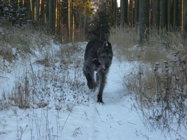 vycházka 8.12.2012 004