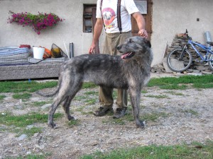 img_2252.jpg