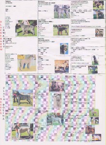 pedigree.jpg